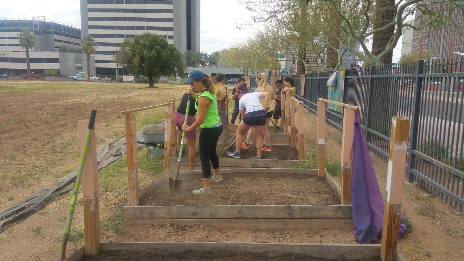 Community Garden Phoenix MANA House