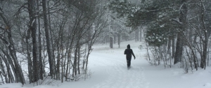 Seeking Homeless in the Snow